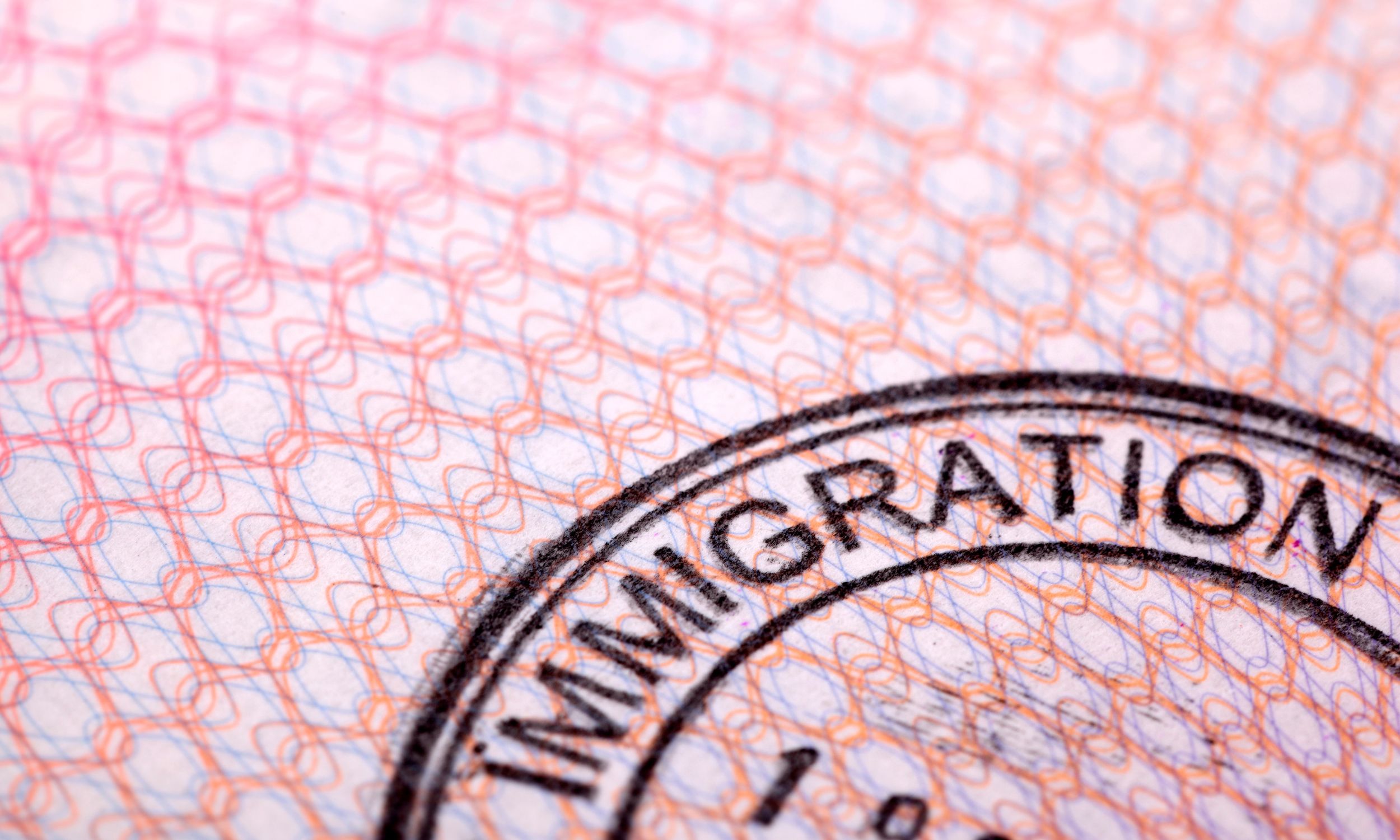 Fear of ICE Impacts Flea Market Vendors and Shoppers in Denver